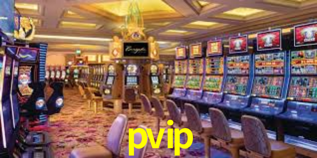 pvip.com